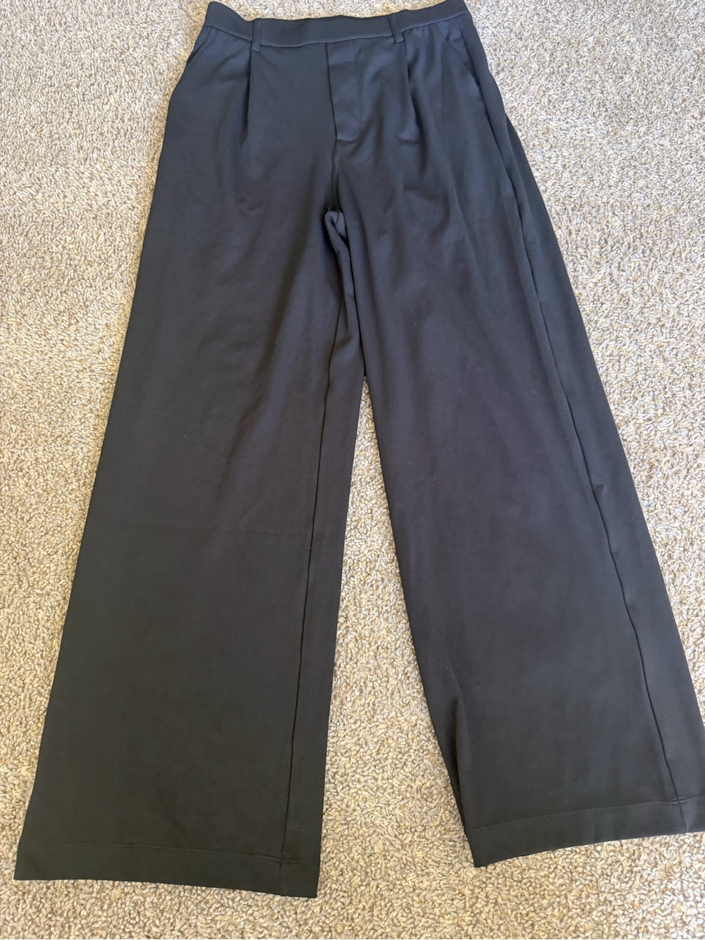 NWOT HALARA Black Wide-Leg Pants with Pleated Front